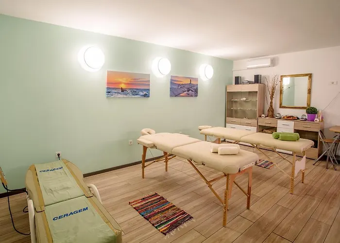 Antonija 德尔韦尼克